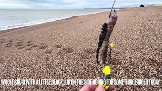 Chesil Beach Sea Fishing 2023 West Bexington 21112023 4k [upl. by Nnylkcaj]