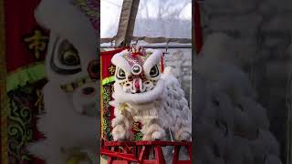 SF White Crane Kun Seng Keng USA Lion Dance 2023 Chinatown Street Fair [upl. by Golding955]