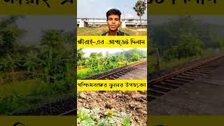 Khirai ফুলের উপত্যকা shortvideo khirai [upl. by Roper]