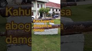 Kahulugan sa abogado sa damgo abogado hubadsaabogadosadamgo kahulugansaabogadosadamgo [upl. by Nolos]