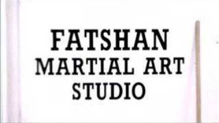 Wing Chun Fatshan Academy of Martial Arts [upl. by Allicsirp]