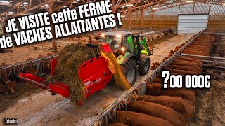 🐄 00 000€ pour ce NOUVEAU BATIMENT de VACHES ALLAITANTES  Un BUDGET CONSÉQUENT💲 [upl. by Eignav212]