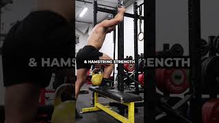 Brutal Lower Body Strength For Jiu Jitsu  The BJJ Strength Coach [upl. by Yanaton886]