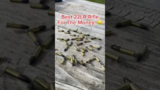 BEST 22LR Rifle To BUY [upl. by Portingale]