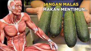 Mulai Makan Mentimun Setiap Hari dan Lihat Apa Yang Terjadi Pada Tubuh [upl. by Chastity]