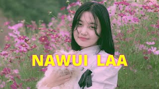 Nawui Laa ♡︎  Lyrics ♫︎ [upl. by Brina]