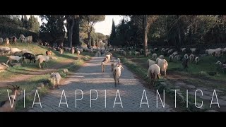 Via Appia antica aka APPIAN WAY in 4K a wonder of ancient Rome a UNESCO site unique [upl. by Yhtir907]