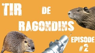 CHASSE RAGONDIN  RÉGULATION ÉPISODE 2  NUTRIA HUNTING [upl. by Anihsat]