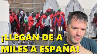 INVASIÓN EUROPEA LLEGAN A ESPAÑA DE A MILES HASTA NADANDO‼️ [upl. by Norry]