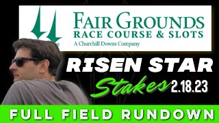 2023 RISEN STAR STAKES  FULL FIELD RUNDOWN  FAIR GROUNDS [upl. by Hawthorn]