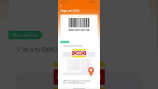 Como Pagar Didi Prestamos Oxxo Transferencia Etc [upl. by Kimble]