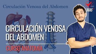 Circulación venosa del abdomeny sistema porta  Anatomía [upl. by Drannek]