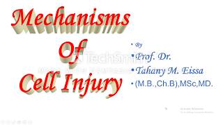 Mechanisms of Cell Injury [upl. by Trebeh213]