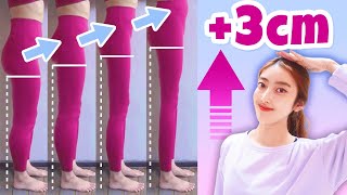 GROW TALLER amp GET LONG LEGS With This Exercise amp Stretch Slim amp Long Leg Stretch [upl. by Yalc847]