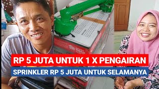 UANG Rp 5 JUTA HABIS UNTUK SEKALI PENGAIRAN SEPASANG PETANI MUDA INI BERALIH KE SPRINKLER [upl. by Cynth556]