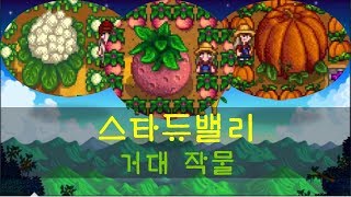 스타듀밸리 거대작물 만들기 Stardew valley Giant Crop [upl. by Iel661]