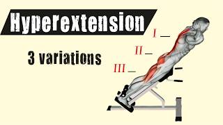 3 variations of the hyperextension exercise [upl. by Nnylf278]