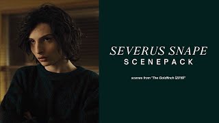 Young Severus Snape Scenepack 2 1080p  Finn Wolfhard Fancast [upl. by Nwotna]