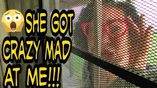 My Crazy Karen Neighbor Got Crazy Mad At Me For Giving Her A Gift 😲 Public Freakout funny crazy [upl. by Ahgem527]