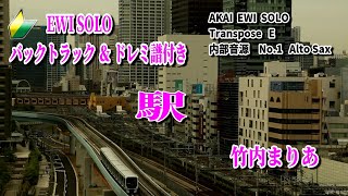 🔰【EWI SOLO】ドレミ譜バックトラック付き 「駅」 [upl. by Ecnarolf]