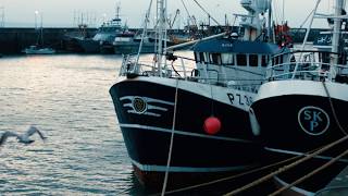 Newlyn Fish Market Cornwall [upl. by Esele]