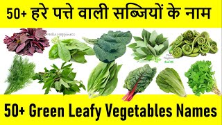 Green Leafy Vegetables Names  Green Vegetables List  हरे पत्ते वाली सब्जियां सब्जियों के नाम [upl. by Oab]