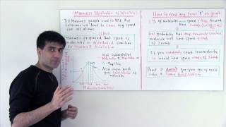 8 Maxwells Distribution of Velocities Hindi [upl. by Artemus]