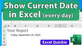 Show the Current Date Every Day in Excel or Time  Excel Quickie 65 [upl. by Atikam484]