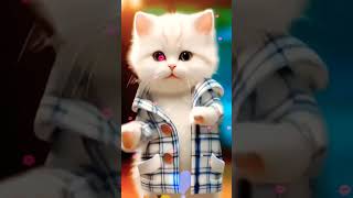 November 21 2024cat dancecute ❣️😼😽😾😾🥰🤡💐🥀😀🧡💛😺😿😻💙💚💚🌹💜🎋🐱❣️ youtube [upl. by Floria427]