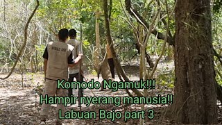 Komodo ngamukHampir nyerang orangMengerikan Labuan Bajo Part 3 Pulau komodo [upl. by Entruoc]