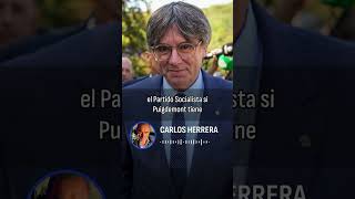 Herrera quotSi Puigdemont tiene una multa de tráfico también la meterá en la amnistíaquot [upl. by Tamis]