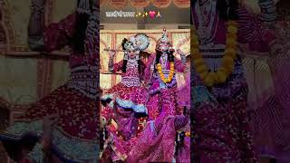 raslila trendingreels virdavan dance radhekrishna viralvideo views [upl. by Attelra910]