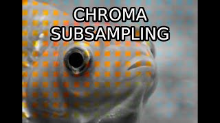 Everything You Need to Know About JPEG  Episode 8 Chroma Subsampling [upl. by Lucas989]