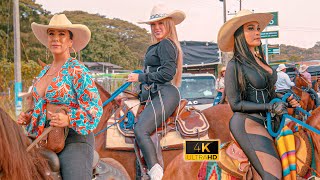 Gran Cabalgata en las Fiestas de Zarzal  Valle 😍 COLOMBIA 2024 [upl. by Aserehs]