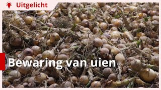 Uitgelicht  Bewaring van uien [upl. by Cristoforo]