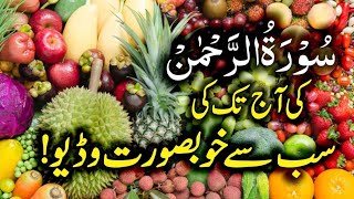 Surah Rahman World Most Beautiful Recitation Episode  353  سورہ رحمٰن 55  Bazm e Quran [upl. by Adara]