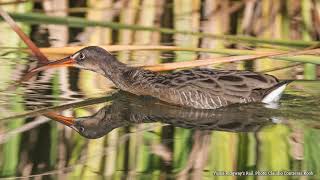 Revitalizing Lower Gila River Corridor [upl. by Sine]