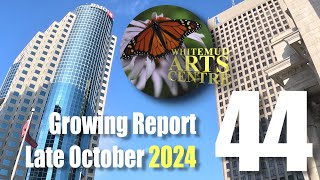 WAC Growing Report 202444 End of October [upl. by Ken]