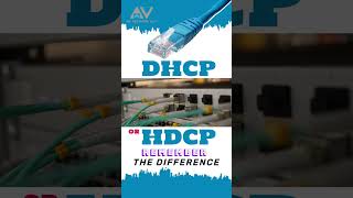 HDCP or DHCP Understanding the Difference shorts [upl. by Arathorn]