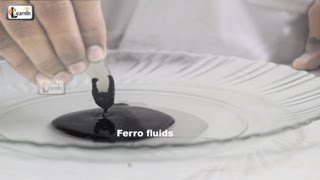 Making Magnetic FerroFluid  How To Make Ferrofluid at home  Science Experiment for kids  elearnin [upl. by Lynette]