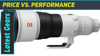 Revolutionizing SuperTelephoto Photography Sony FE 600mm F4 GM Lens Review [upl. by Anneirb]