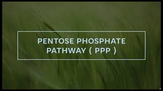 Biochemistry  pentose phosphate pathway ppp [upl. by Adaminah]