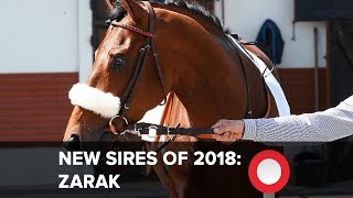 New Sires of 2018 Zarak [upl. by Westphal]