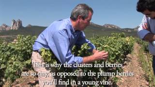 The History of Rioja [upl. by Stefa925]