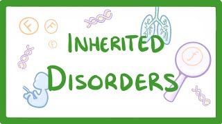 GCSE Biology  Why We Inherit Diseases From Our Family  Polydactyly amp Cystic Fibrosis 75 [upl. by Nadbus]