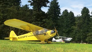 First early look at the J3C65 Cub and the Fox Islands from Inibuilds in Flight Simulator [upl. by Ion956]