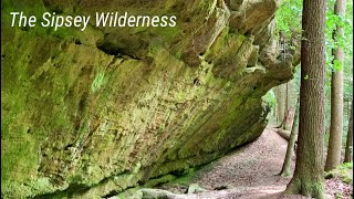 Bankhead National Forest Exploring the Sipsey Wilderness [upl. by Atneuqal]