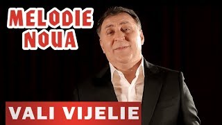 Vali Vijelie si Stelu Pandelescu  Sotia mea frumoasa NOU 2019 [upl. by Stiles]