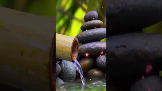 Música Para Calmar La Mente Y Dejar De Pensar soothingrelaxeveryday bamboowatersounds shorts [upl. by Llemij]