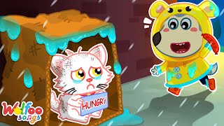 Dont be Sad Super Kitty  Emotional Pets Songs  Kids Songs amp Nursery Rhymes WolfooFamilySongs [upl. by Oran271]